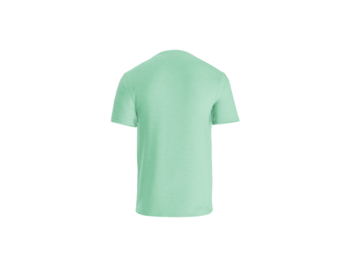 Bodega Bay emblem tee in Sea Mist, back view